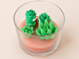 Vela artesanal de cactus y suculentas verdes decorativa